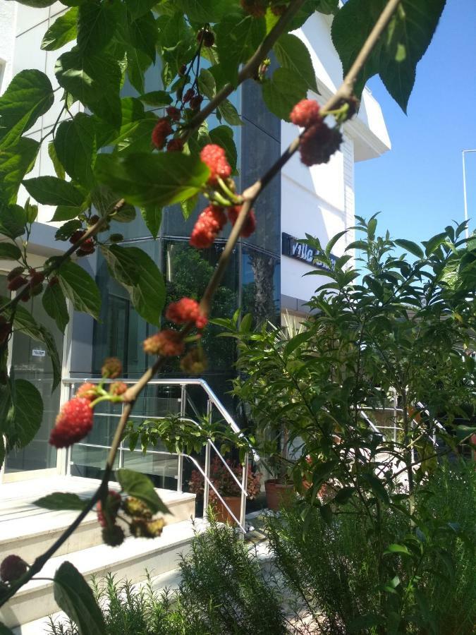 Villa Gizem Special Class Hotel سيدي المظهر الخارجي الصورة